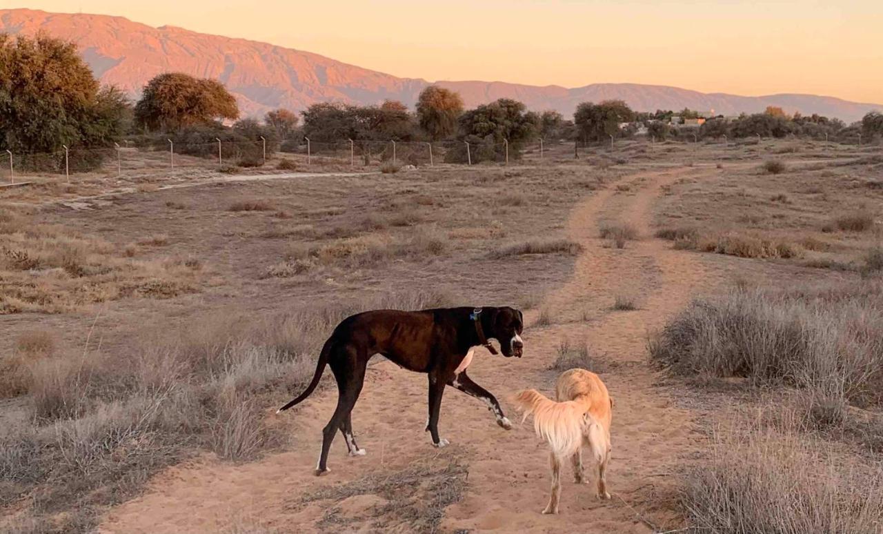 מלון ראס אל חאימה Rak Glamping מראה חיצוני תמונה