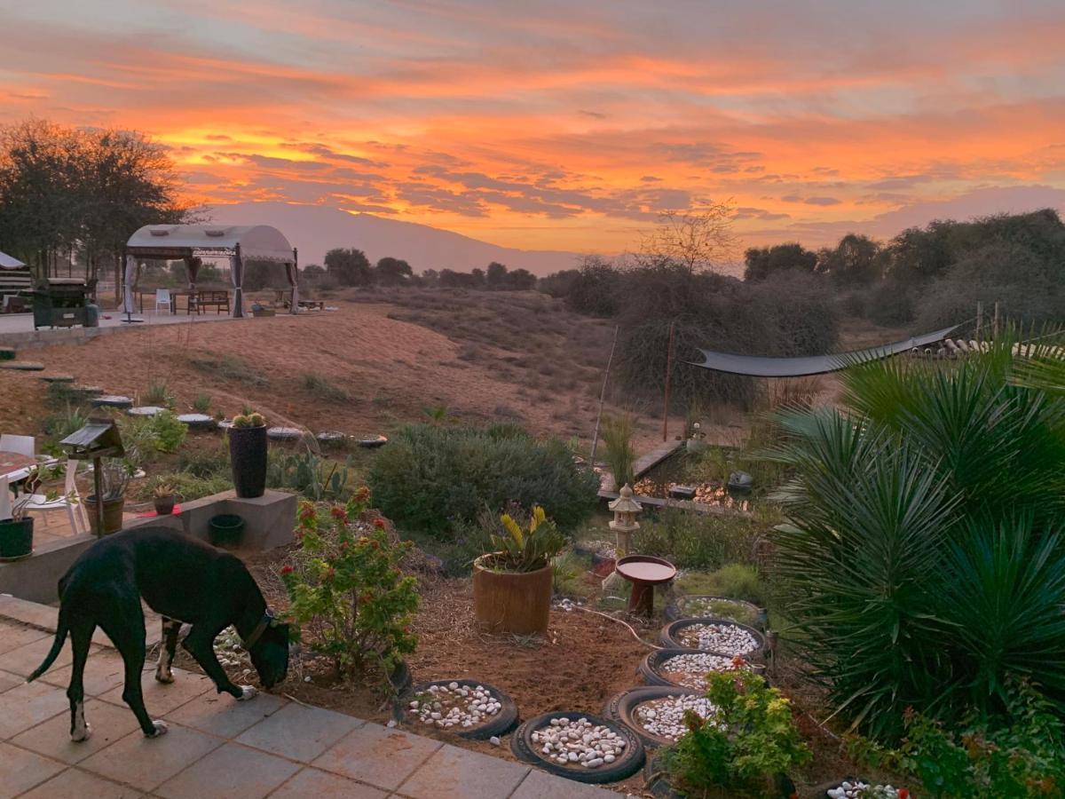 מלון ראס אל חאימה Rak Glamping מראה חיצוני תמונה