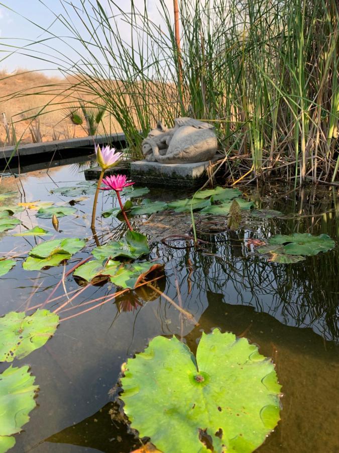 מלון ראס אל חאימה Rak Glamping מראה חיצוני תמונה