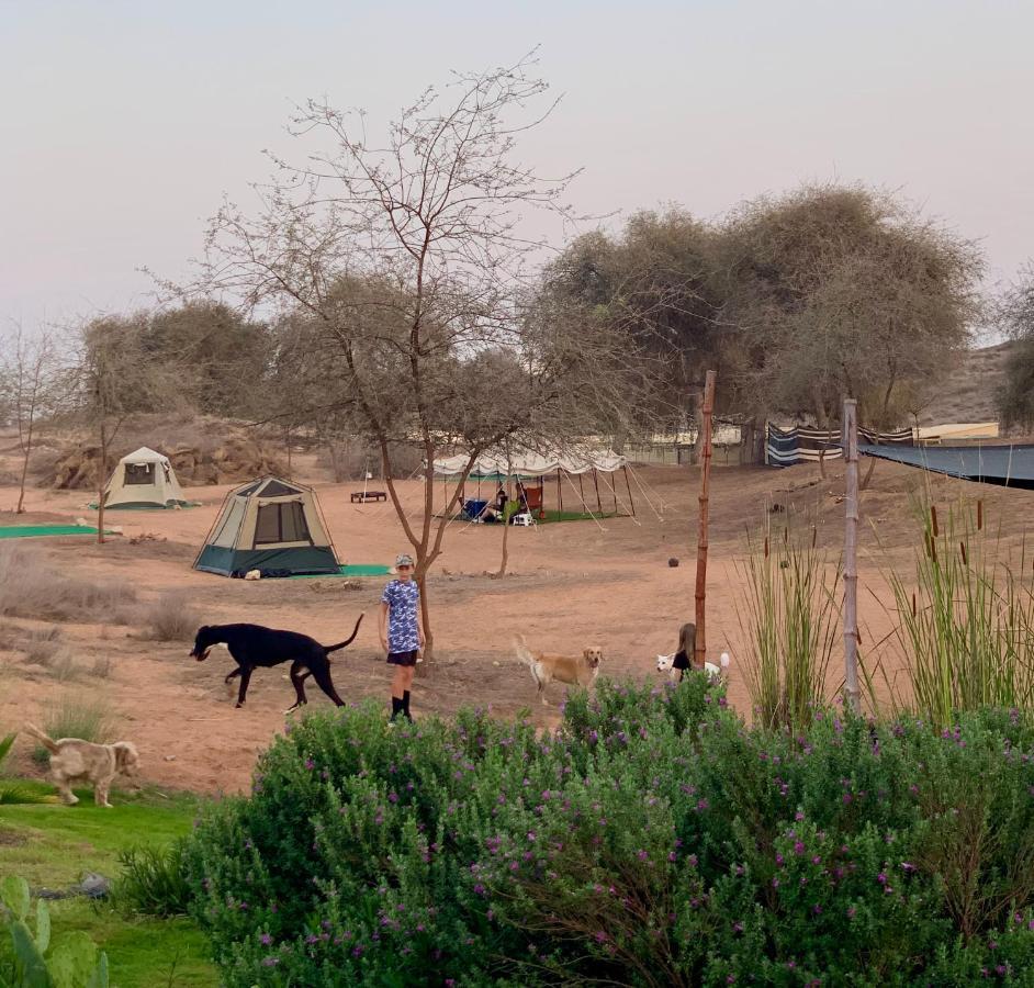 מלון ראס אל חאימה Rak Glamping מראה חיצוני תמונה
