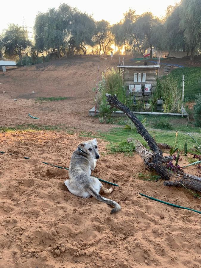 מלון ראס אל חאימה Rak Glamping מראה חיצוני תמונה
